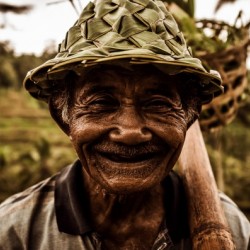 Rice Field Worker